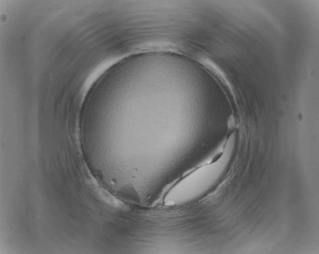 X0000076451336200610202325