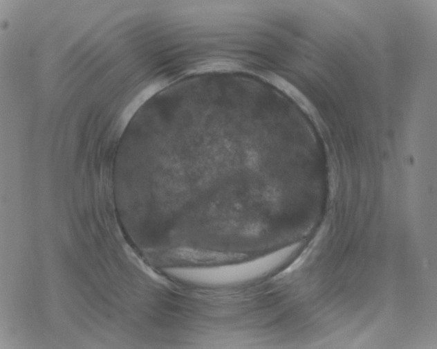 X0000076451337200610202325