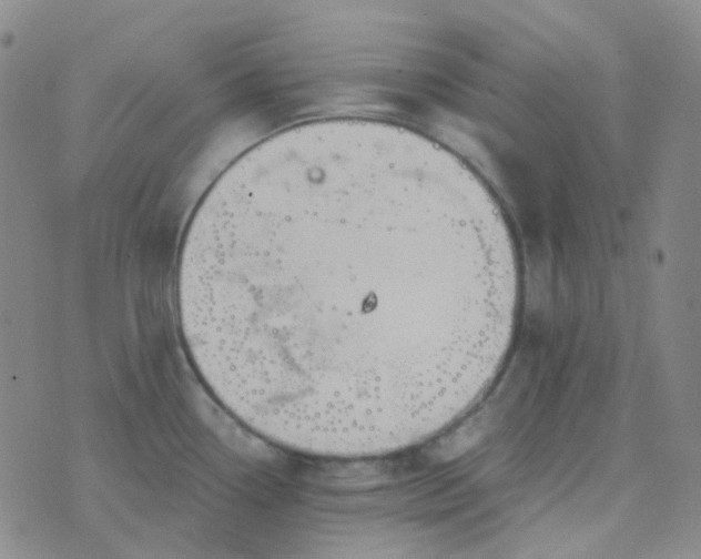 X0000076451338200610202325