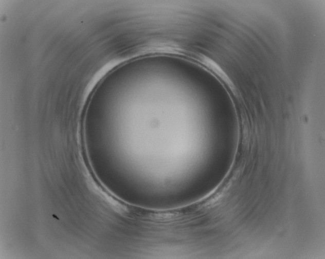 X0000076451339200610202325