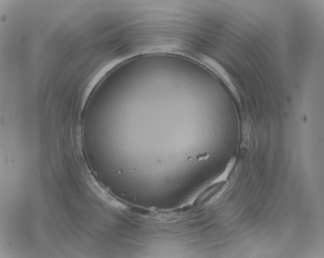 X0000076451340200610202325