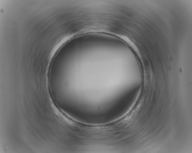 X0000076451341200610202325