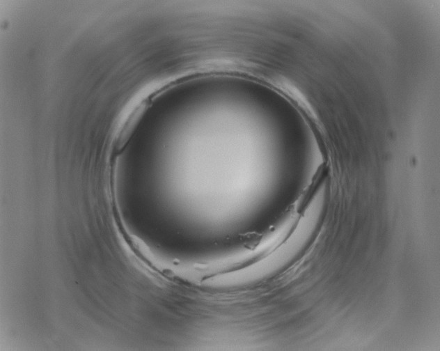 X0000076451342200610202325