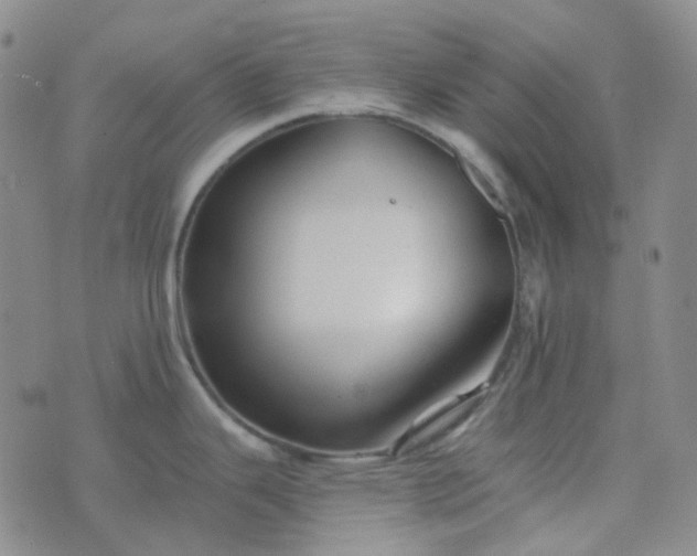 X0000076451343200610202325