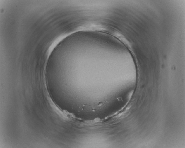 X0000076451344200610202325