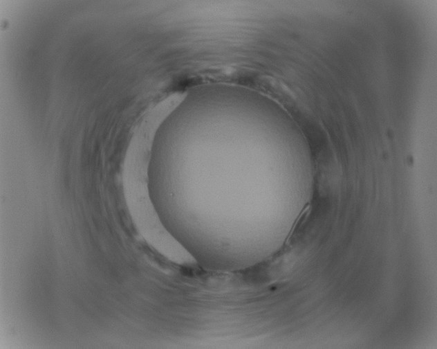 X0000076451345200610202324