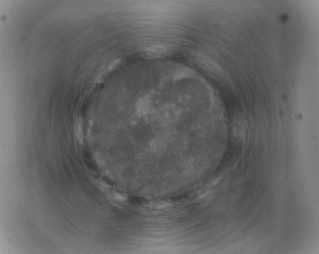 X0000076451346200610202324