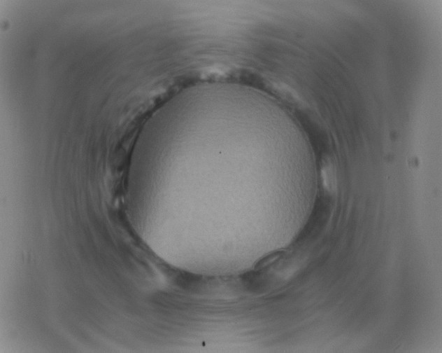 X0000076451347200610202324