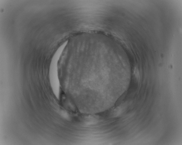 X0000076451348200610202324