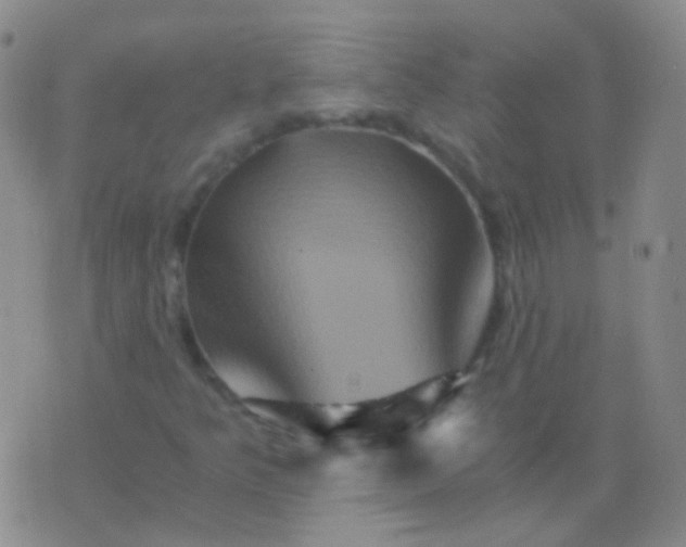 X0000076451349200610202324