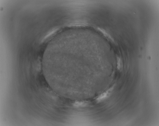 X0000076451350200610202324