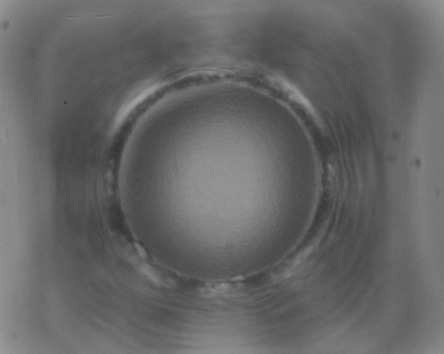 X0000076451352200610202324