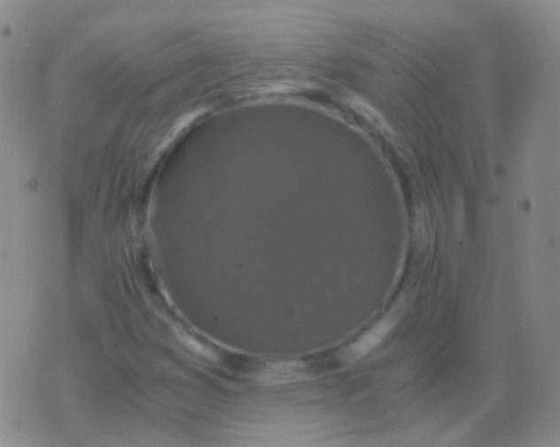 X0000076451353200610202324