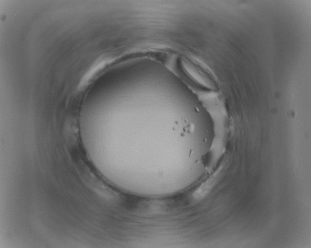 X0000076451355200610202324