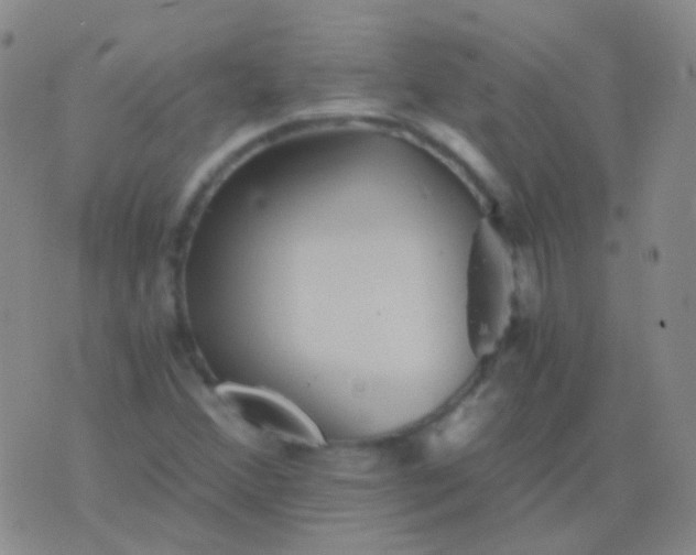 X0000076451356200610202324