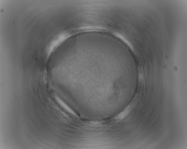 X0000076451357200610202324