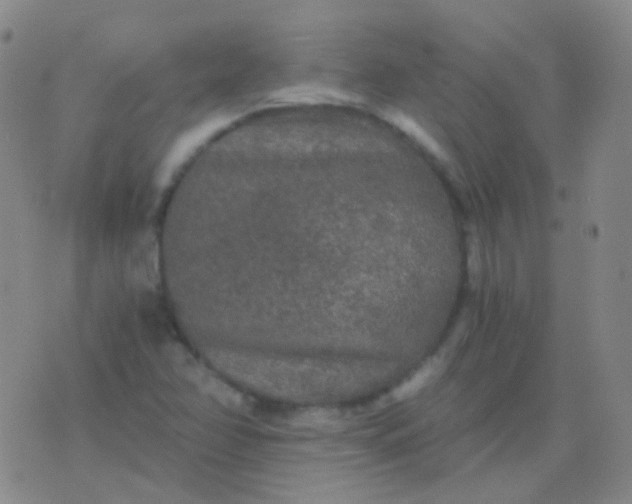 X0000076451358200610202324