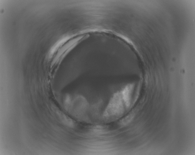 X0000076451359200610202324