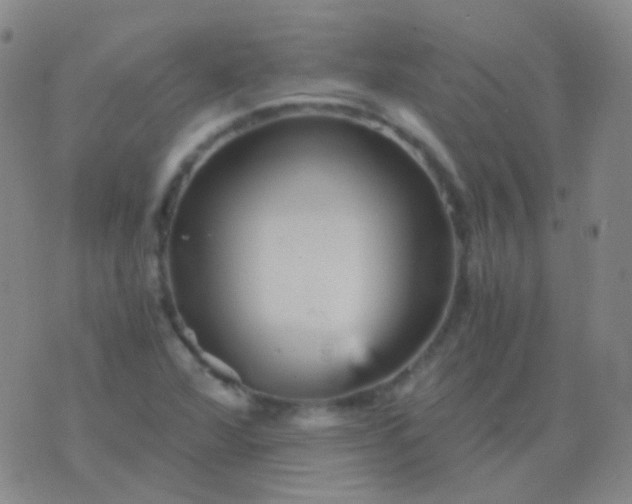 X0000076451360200610202324