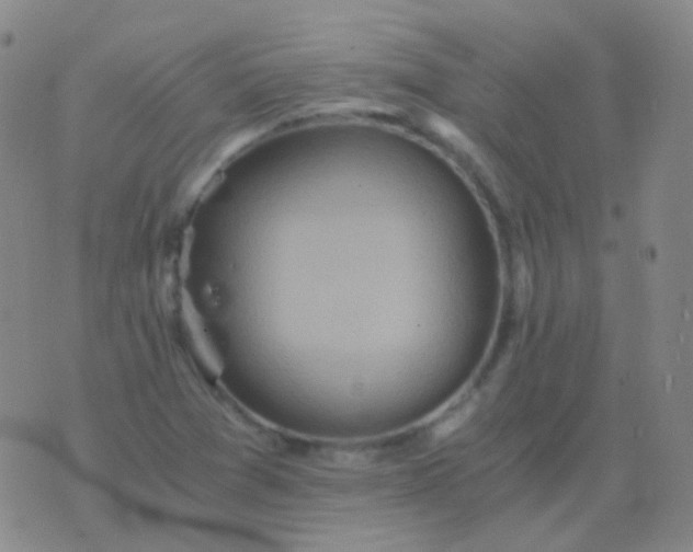 X0000076451361200610202324