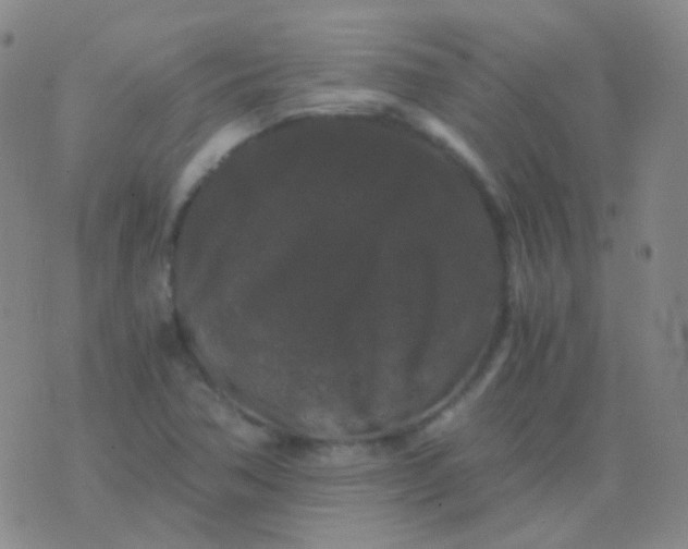 X0000076451362200610202324