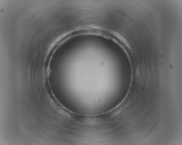 X0000076451364200610202324