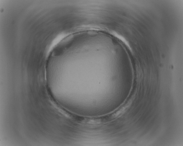 X0000076451365200610202324