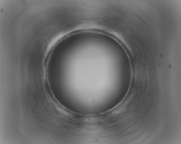 X0000076451366200610202324