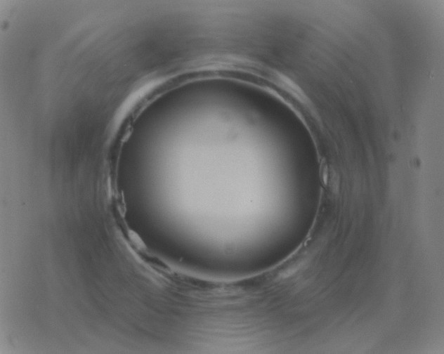 X0000076451368200610202324