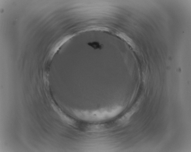 X0000076451369200610202324