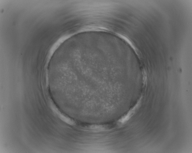 X0000076451371200610202324