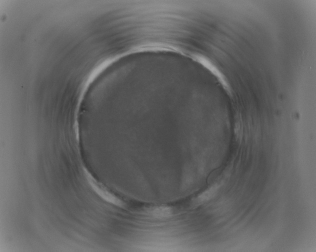 X0000076451372200610202324