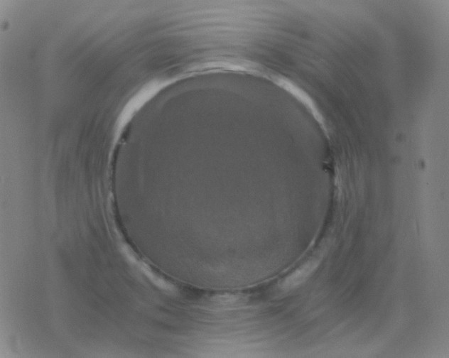 X0000076451373200610202324