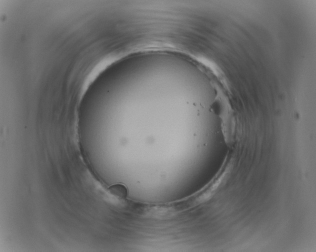 X0000076451374200610202324