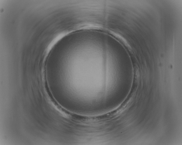 X0000076451375200610202324