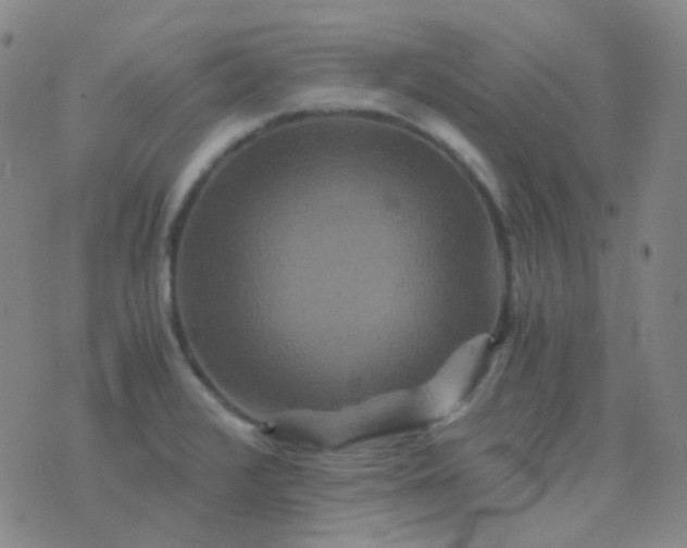 X0000076451376200610202324