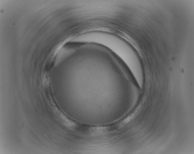 X0000076451377200610202324