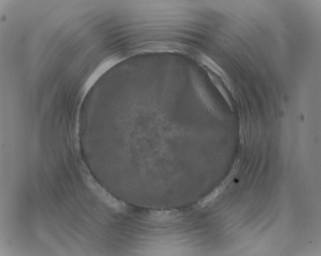 X0000076451378200610202324