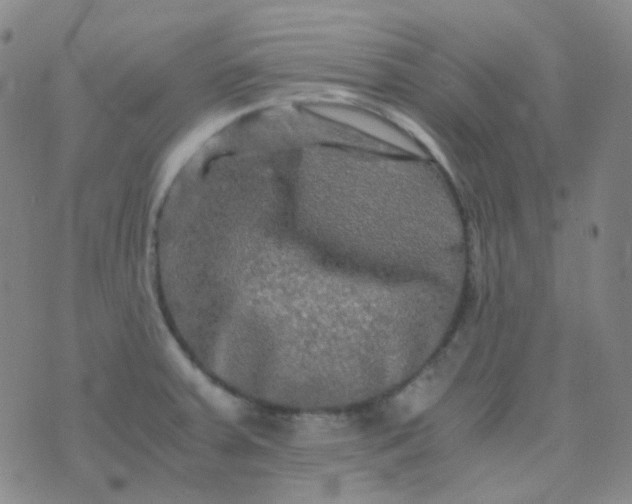 X0000076451379200610202324