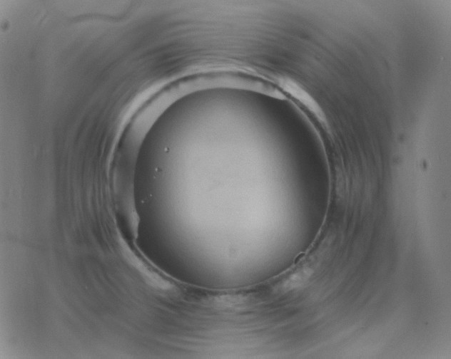 X0000076451380200610202324