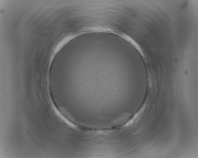 X0000076451381200610202324