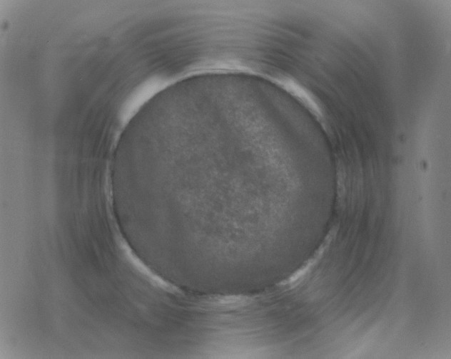 X0000076451382200610202324