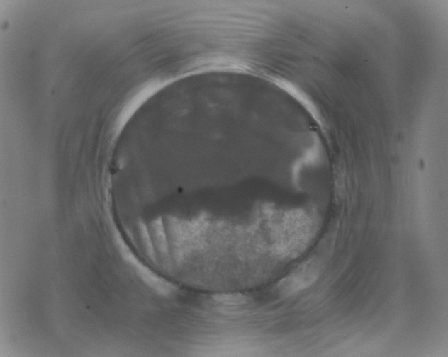 X0000076451383200610202324