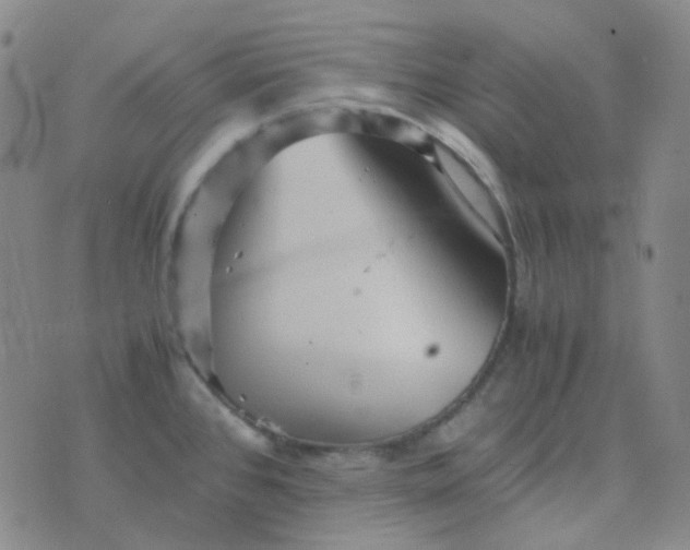 X0000076451384200610202324