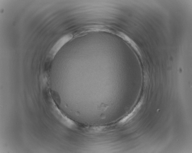 X0000076451385200610202324