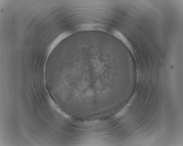 X0000076451386200610202324