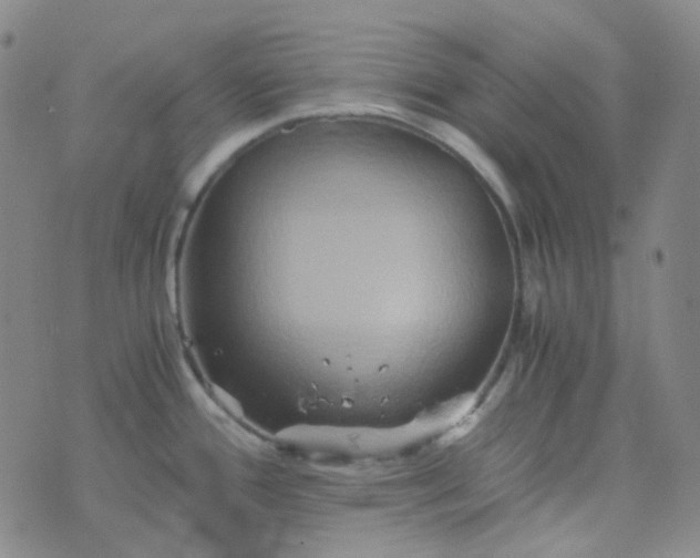 X0000076451388200610202324