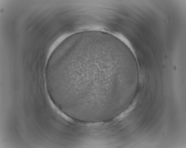 X0000076451389200610202324