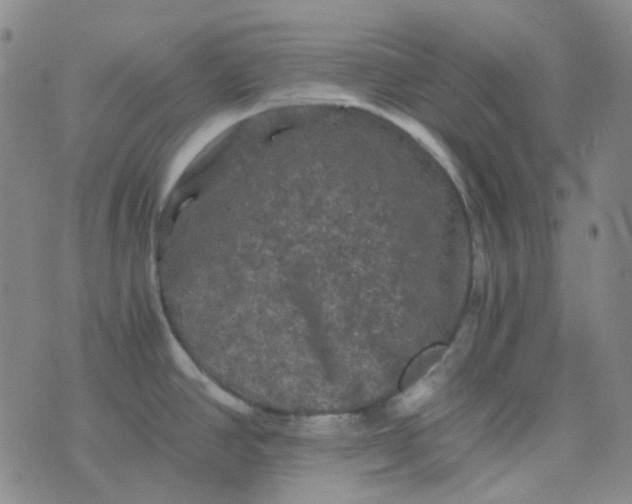 X0000076451390200610202324