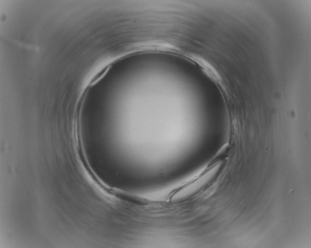 X0000076451391200610202324